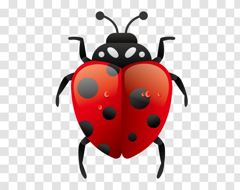 Environmental Protection Clip Art - Design - Ladybug Transparent PNG