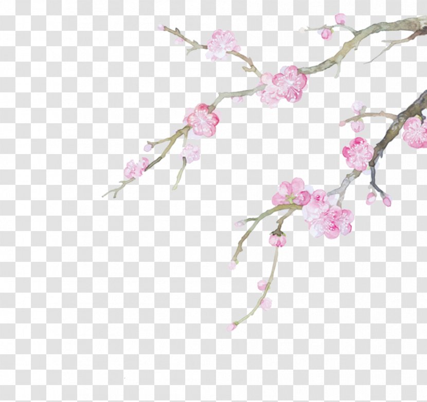 Watercolor Painting Illustration - Pink - Chinese Wind Plum Transparent PNG