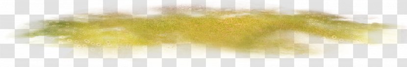 Yellow Close-up Sky Eyelash - Orange Lawn Transparent PNG