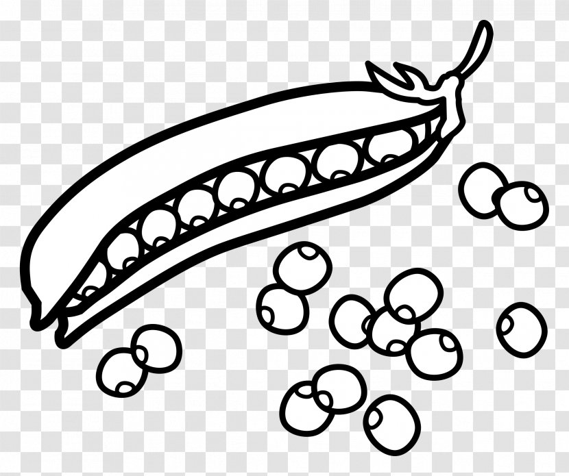 Pea Drawing Clip Art - Monochrome Photography Transparent PNG