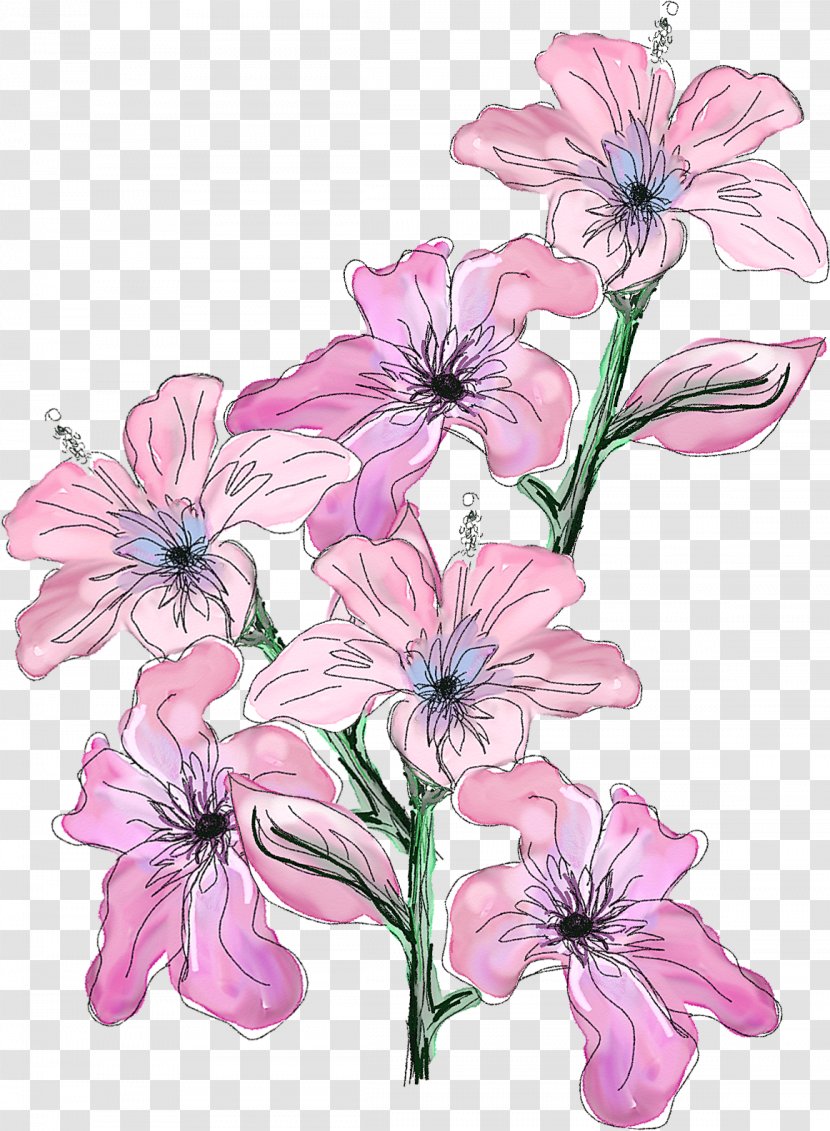 Floral Design Bellamy Blake Flower Watercolor Painting Links Transparent PNG