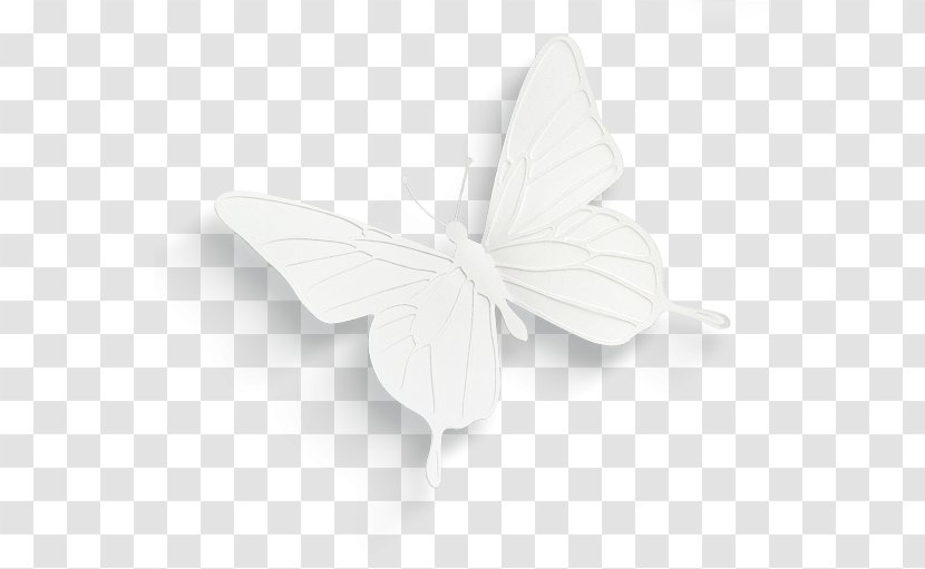 Butterfly White Black - Wing - Three-dimensional Transparent PNG