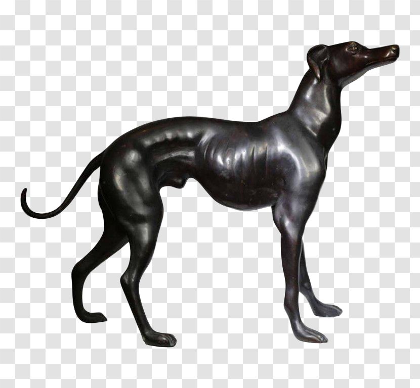 Italian Greyhound Spanish Sloughi Whippet - Breed Transparent PNG