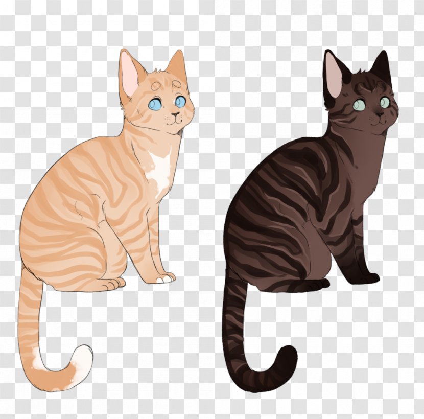 Whiskers American Wirehair Kitten Domestic Short-haired Cat Paw Transparent PNG