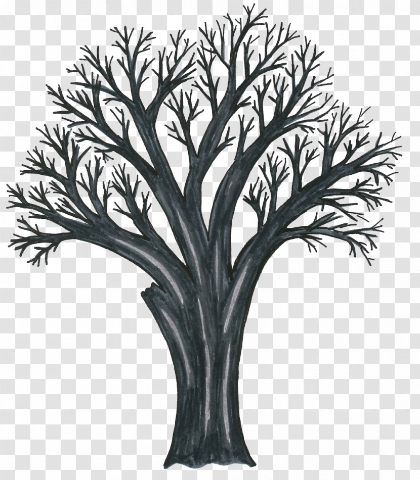 Twig Workwear Pruning Afacere Fruit Tree - Black And White - Trunk Transparent PNG