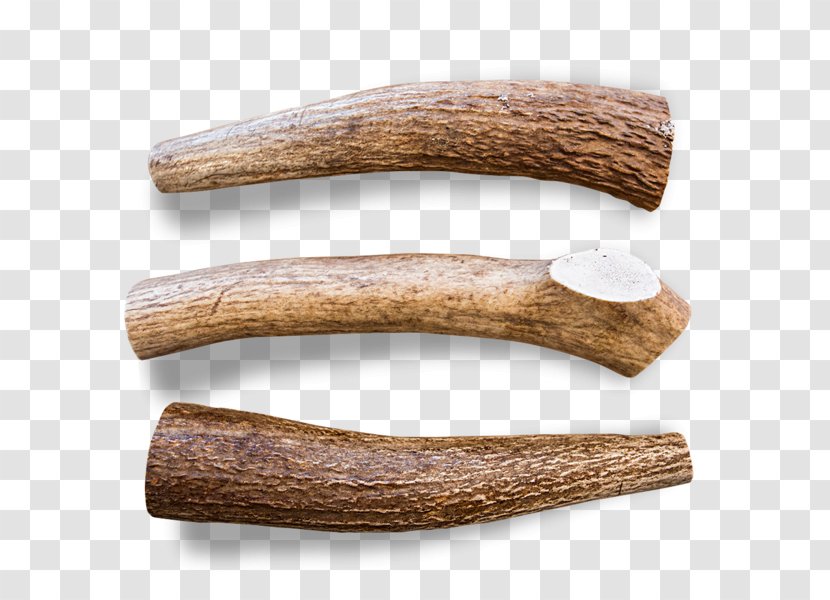 Antler Elk Bone Chewing Dog Transparent PNG