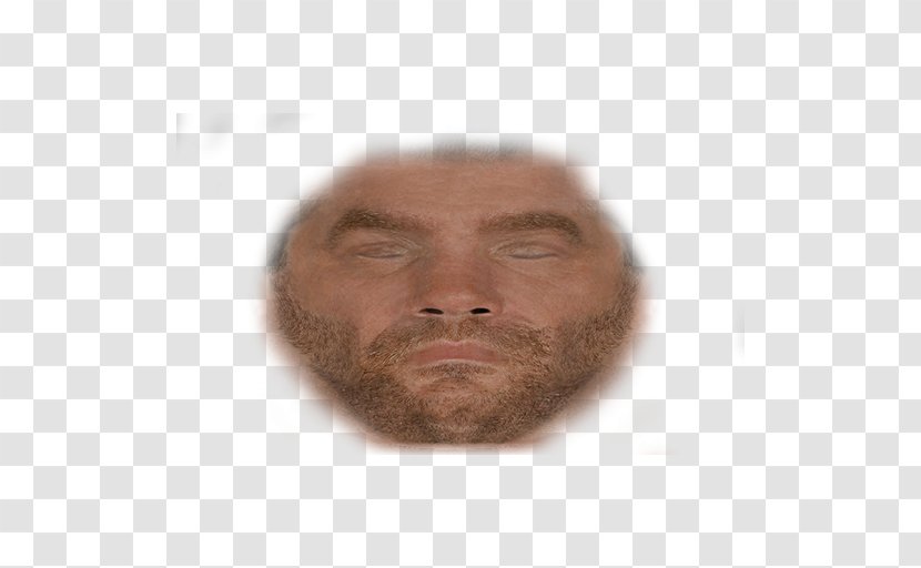 Facial Hair Face Chin Cheek Beard - Man - Chris Benoit Transparent PNG