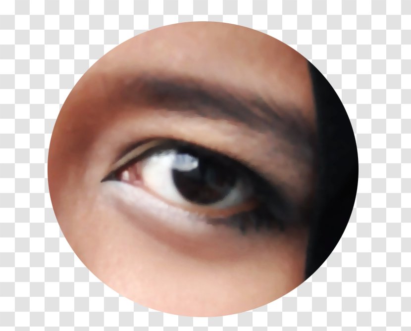 Eyelash Extensions Eye Liner Shadow Lip - Flower - Makeup Transparent PNG