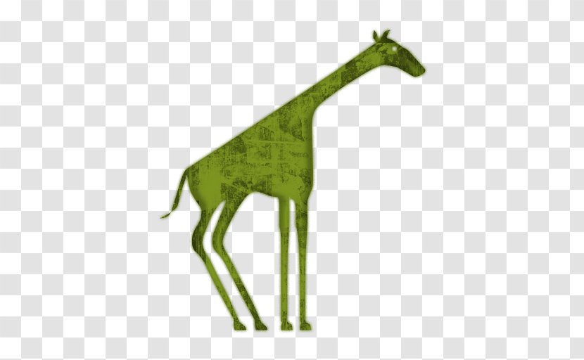 Northern Giraffe Symbol Animal - Terrestrial Transparent PNG