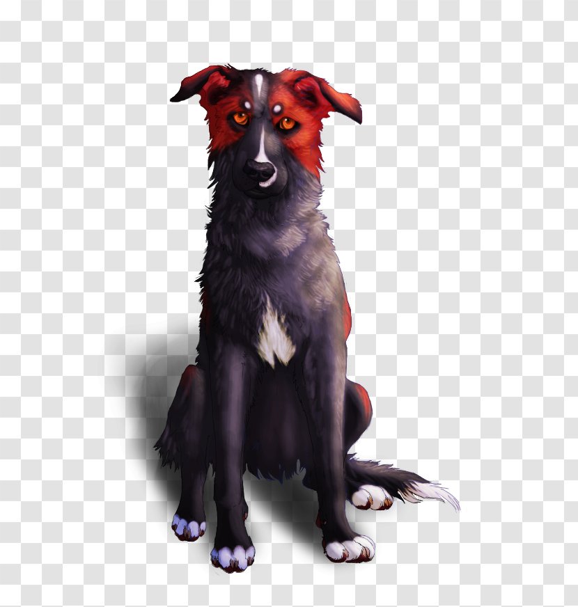 Dog Breed Border Collie Rough Drawing - Good Bye Transparent PNG