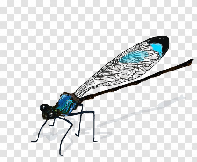Insect Dragonfly Drawing Damselfly - Animation - Dragon Fly Transparent PNG