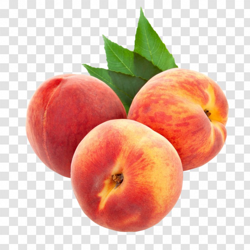 Saturn Peach Fruit Orange Clip Art - Slice Transparent PNG