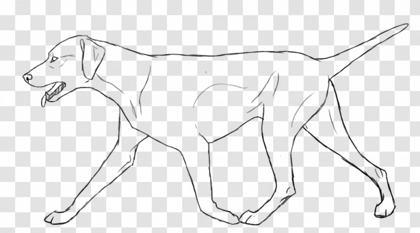 Dog Breed Line Art Drawing White - Carnivoran - Cut Hair Transparent PNG