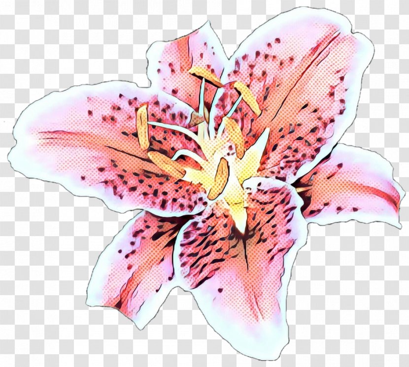 Watercolor Pink Flowers - Wildflower - Blossom Transparent PNG