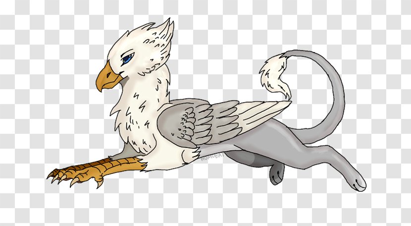 Cartoon Bird Sketch Drawing Animation - Tail Fictional Character Transparent PNG