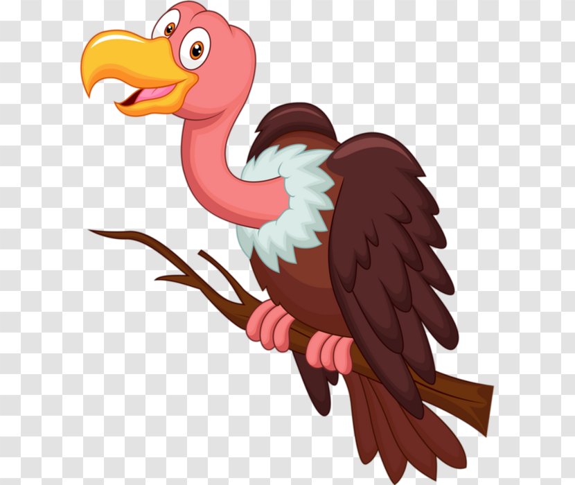 Turkey Vulture Bird Clip Art - Condor Transparent PNG