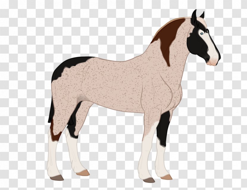 Mustang Foal Stallion Mare Colt Transparent PNG