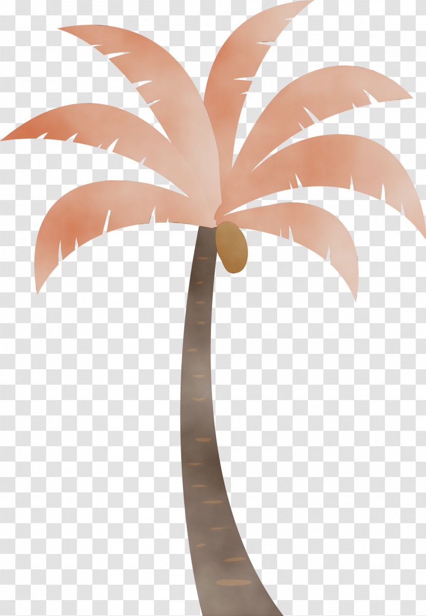 Palm Trees Transparent PNG