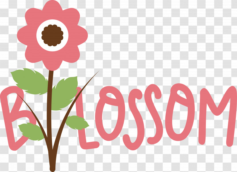 Floral Design Transparent PNG