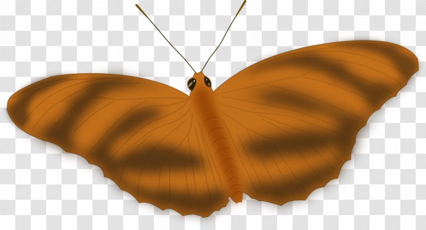 Monarch Butterfly Clip Art Insect Vector Graphics - Wing - Tent Design Mimics A Leaf Transparent PNG