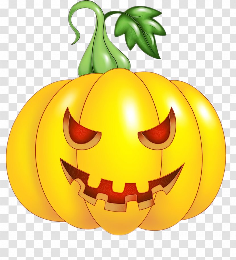 Pumpkin - Plant Vegetable Transparent PNG