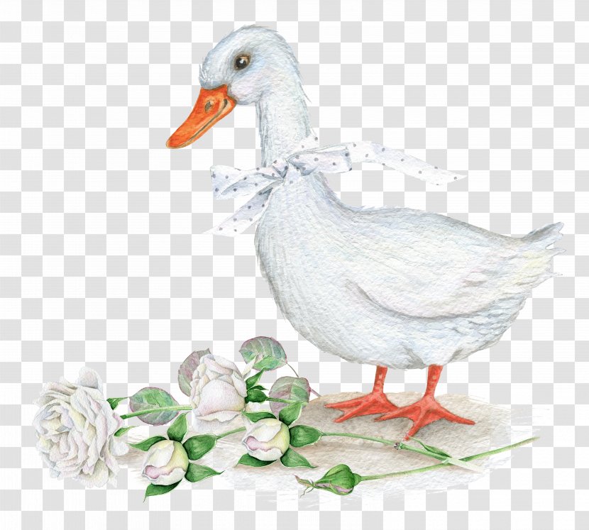 American Pekin Duck Bird - Painting - Ducks And Flowers Transparent PNG
