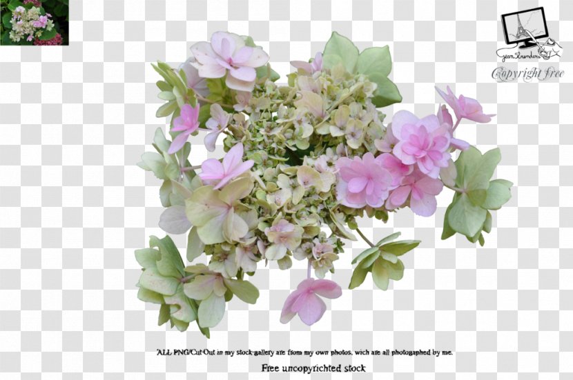 Flower Garden Roses - Deviantart - Bougainvillea Transparent PNG