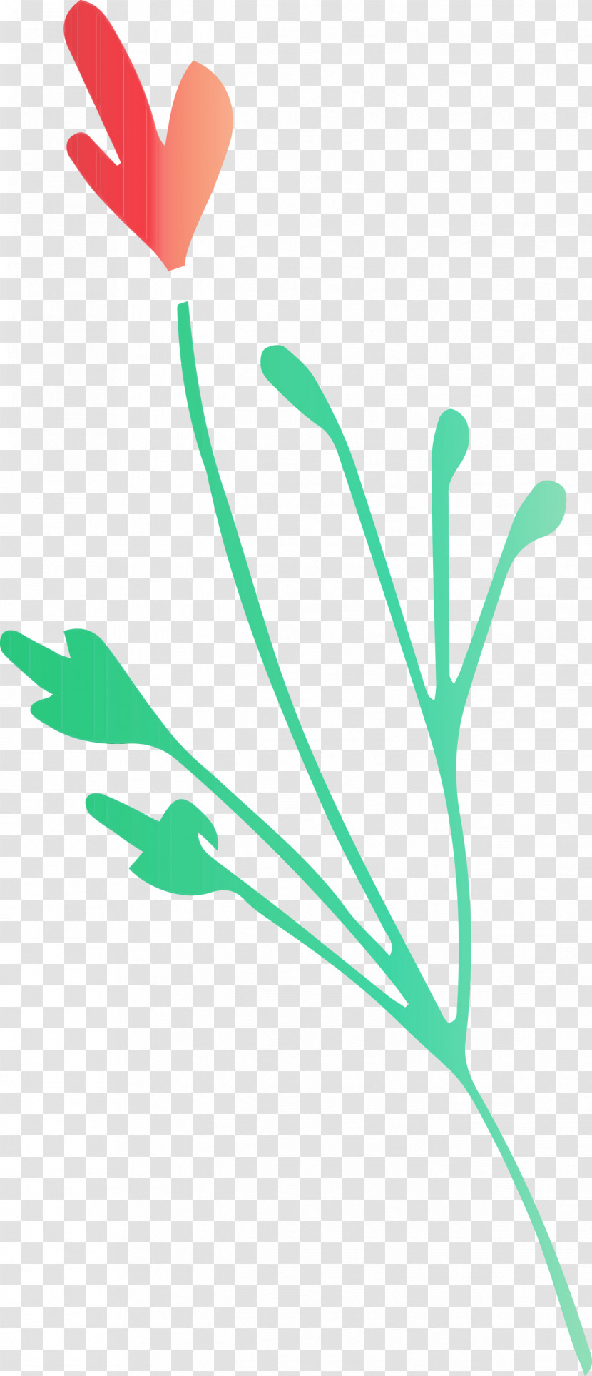 Plant Stem Leaf Green Line Meter Transparent PNG