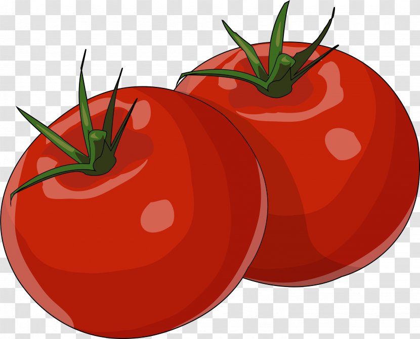 Drawing Of Family - Plant - Vegetarian Food Cherry Tomatoes Transparent PNG