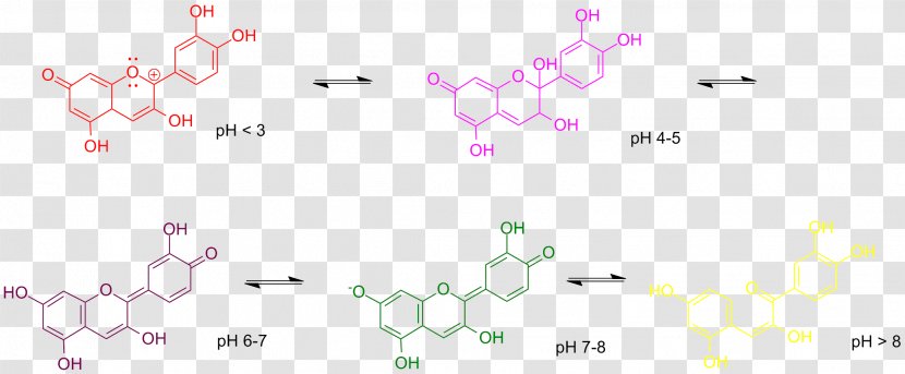Anthocyanin Anthocyanidin PH Indicator Flavonoid - Alkaloid Transparent PNG