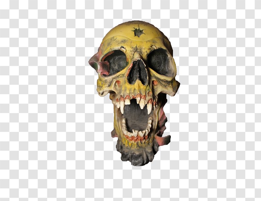 Skull Bone Skeleton Animaatio - Jaw Transparent PNG