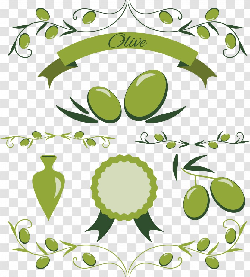 Olive Oil Euclidean Vector Leaf - Floral Design - Hand Painted Icon Transparent PNG