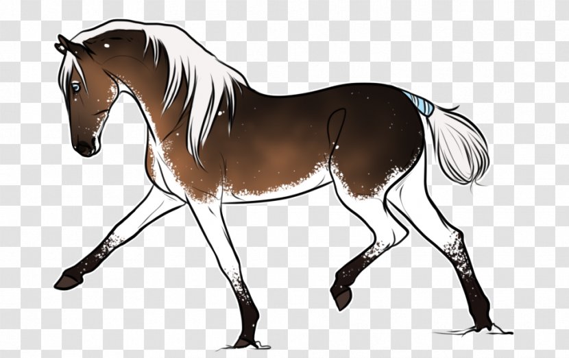 Horse Foal Mane Stallion Bridle - Livestock Transparent PNG