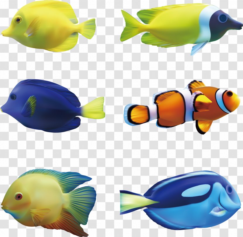 Fish Seabed - Aquarium Decor - Sightseeing Transparent PNG