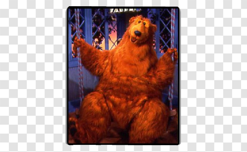 Grizzly Bear Song Television YouTube - Snout Transparent PNG