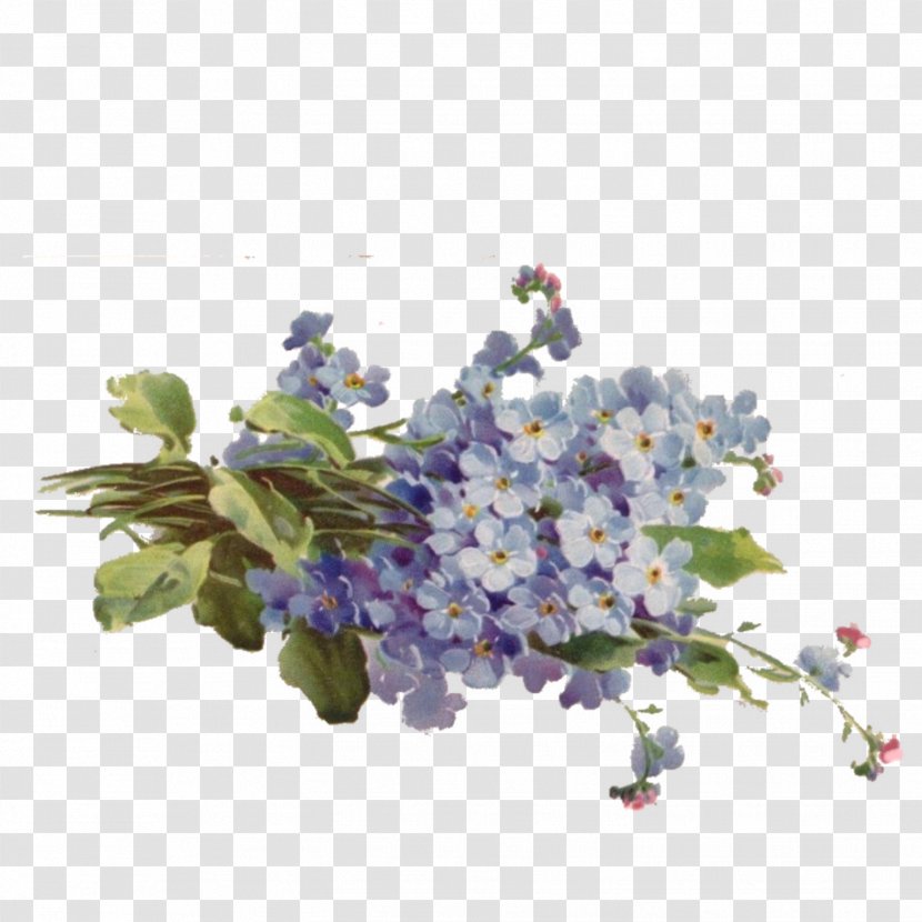 Floral Design Cut Flowers Flower Bouquet - Branch - Forget Me Not Transparent PNG