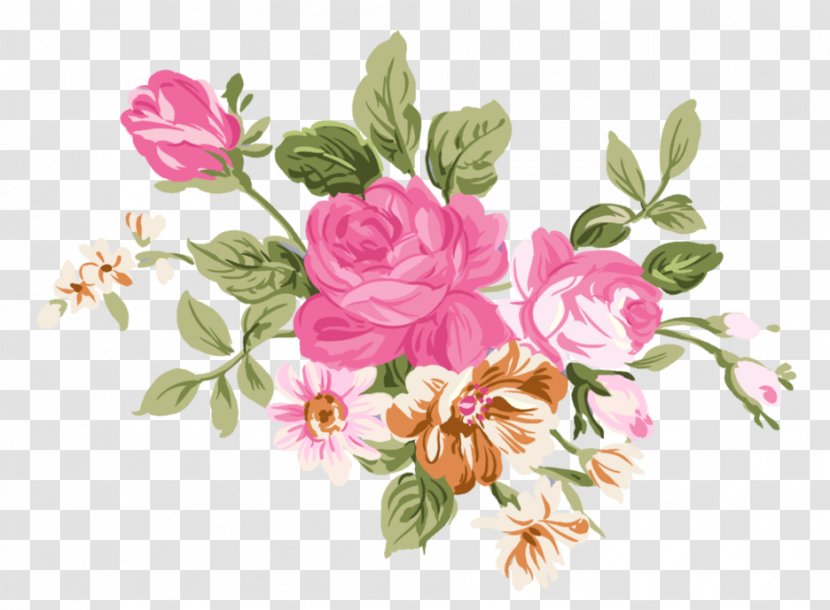 Drawing Watercolor Painting Peony - Rose Family Transparent PNG