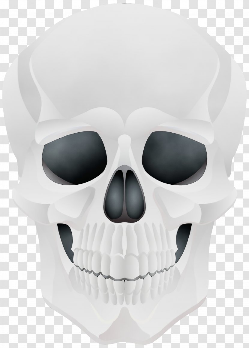 Human Skull Drawing - Watercolor - Sunglasses Jaw Transparent PNG