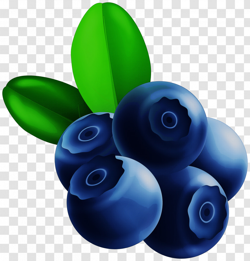 Blue Berry Fruit Bilberry Plant Transparent PNG