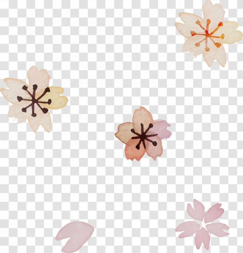 Cherry Blossom Transparent PNG