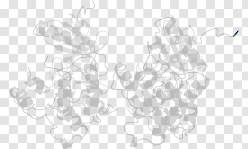 White Drawing Line /m/02csf Angle - Tree Transparent PNG