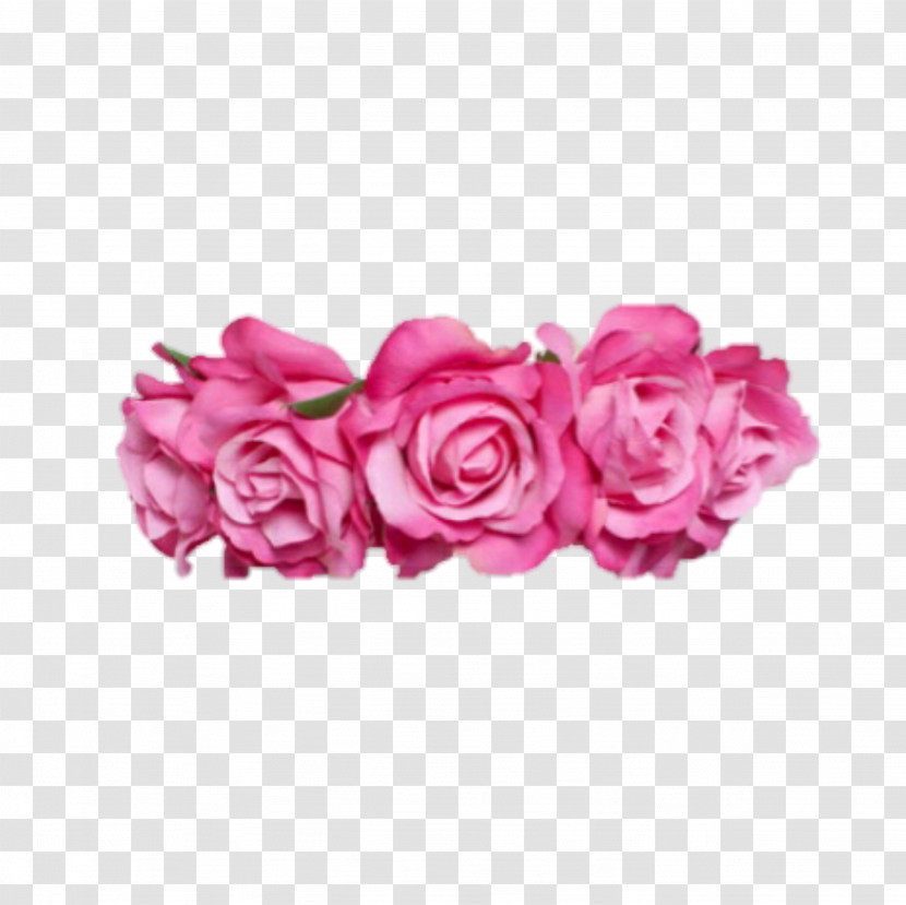 Garden Roses Transparent PNG