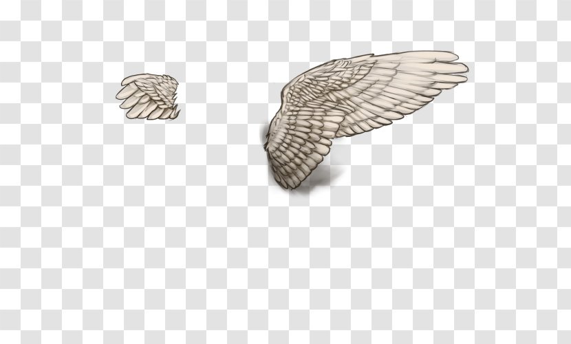 Silver - Wing - White Wings Transparent PNG
