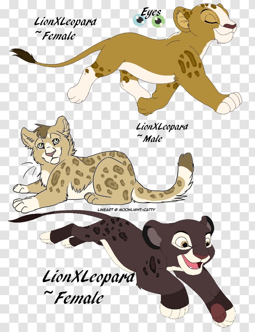 Lion Tiger Puma Clip Art - Carnivoran - Leopard Cub Transparent PNG
