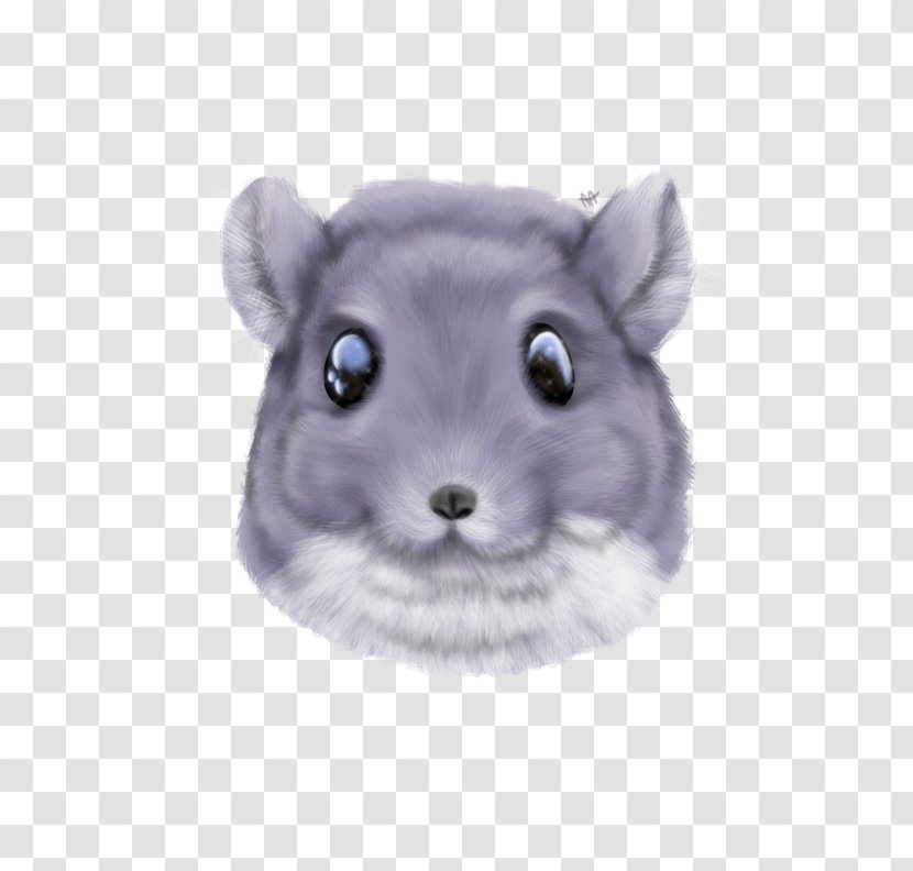 Gerbil Hamster Dormouse Whiskers - Mammal - Mouse Transparent PNG