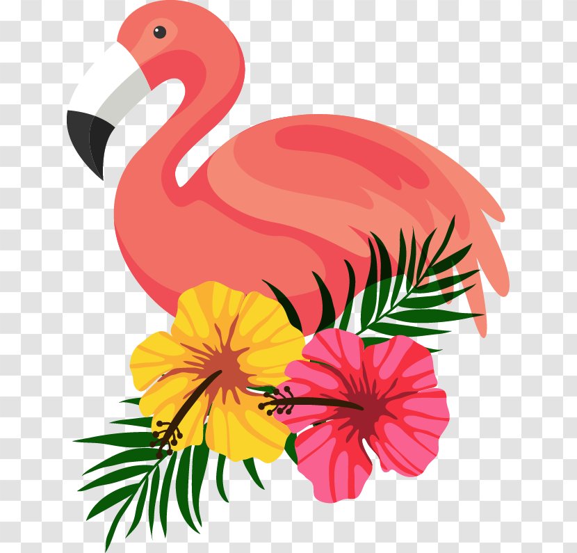 Beautifully Decorated Beautiful Flamingo Flower Frame - Chicken - Rooster Transparent PNG