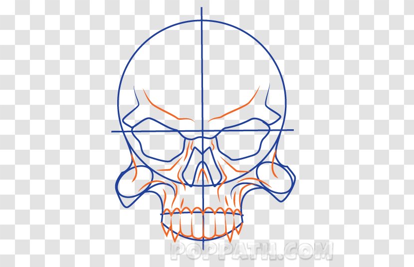 Line Art Point Jaw Clip - Bone Transparent PNG