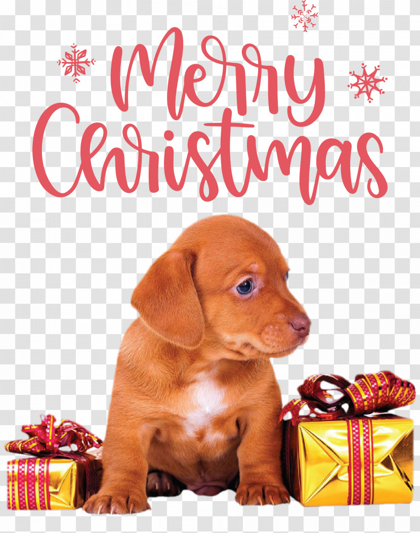 Merry Christmas Christmas Day Xmas Transparent PNG