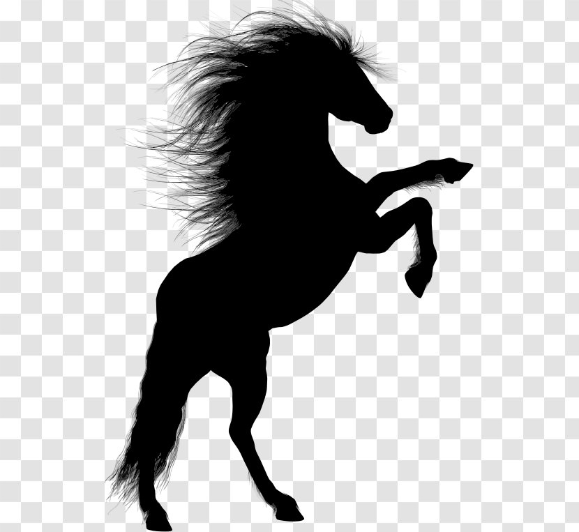Horse Rearing Unicorn Equestrian - Mustang Transparent PNG