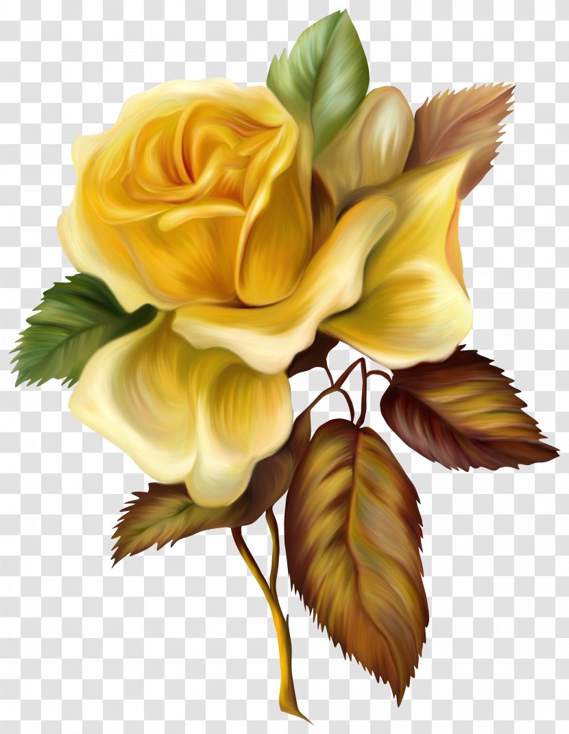 Rose Painting Yellow Flower Clip Art - HD Hand-painted Oil Flowers Transparent PNG